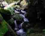 ̷{+Ұ(dng)@+(zhn)